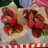 「珍しい苺🍓が入荷していましたよー！ 岡山県産　いちご「晴苺(はれいちご)」」
