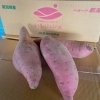 「新潟県産のさつまいも🍠 新潟県産　「いもジェンヌ」が入荷しました✨」