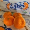 「う～ん濃密～😍 今年も「濃密」の季節がやってきました！ 静岡県産　三ケ日みかん　濃密青島🍊」