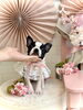 「ぽん」です💕みなさん　よろしくお願いしま〜す「🐶babyちゃんお迎えでした」