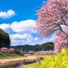 春は不調になりやすいのでしっかり整えましょう