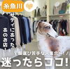 「服選びが苦手な人はシャンパトラへ👗‬」