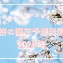 【2024年 桜開花予想】全国トップは東京と広島！