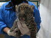 「とべ動物園に新たな生命が誕生！」