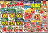 「3月15日（金）～16日（土）　チラシ」