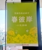 「《春彼岸》のご準備はヨークベニマル長井小出店でどうぞ❗」