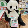 「クマ笹歯みがきですっきりした朝をお迎えください！」