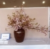 「いけばな展」