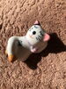 ポカポカ「毎月第3土曜日は」