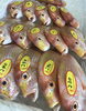 「魚魚市場鮮魚コーナーおすすめは「レンコダイ」です♪」