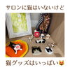 「猫グッズいっぱいのサロンです(=^ェ^=) 整体・リーディング・占い・ヒーリング・氣功」