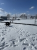フィールド壁の一部が見えてきた「雪解けが」
