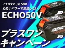 ECHO 50Vプラスワンキャンペーン✨