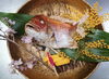 御祝い鯛「3月19日(火)」