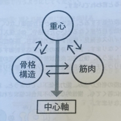 ☆アクシスメソッドとは...③☆ 【本八幡・京成八幡 頭痛・肩こり・自律神経・専門整体院　土日診療　無料駐車場完備】