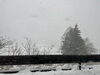 真っ白な雪景色「わんことお出かけ🐶」