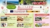 「「フローランテ宮崎」×「宮崎市フェニックス自然動物園」×「シーガイア」🌷春のコラボ企画🌷」