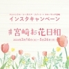 「#宮崎お花日和 インスタキャンペーン🌷🌷🌷」