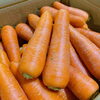 「今年も入荷が始まりました！ 徳島県産　「春にんじん」　です～🥕🥕🥕」