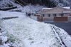 黄色い菜の花畑も真っ白に「彼岸に雪化粧!!」
