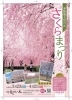 さくらまつり「常陸風土記の丘　桜まつりのお知らせ🌸」