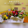 素敵なかわいいお花で店内がさらに明るく華やかに☺「冬季限定『金柑パフェ』終了です&ポレポレ 5th Thanks day☺」