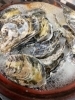 「ラスト粟島産牡蠣」