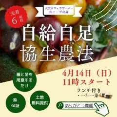 夏野菜を一緒に作りませんか！と言っても放ったらかしの「協生農法」です！