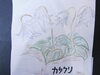 「今日の花　交野市　老人ホーム　ディサービス　小林診療所　」