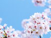 「令和6年3月25日㈪　ほっこりａｔホーム星田デイサービス　　／小林診療所／有料老人ホーム」