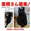 「【新居浜市宇高町】里親募集のお知らせ！※3/25追記情報あり」