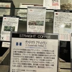 市川駅南口すぐ【グリーン珈琲焙煎所】/グァテマラコーヒーはいかがですか？ メープルのような甘みとコクの落ち着いた印象のコーヒーです、是非お試しください！！