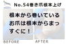 No.54根本から巻いているお爪は根本から１「No.54根本から巻いているお爪は根本からまっすぐに」