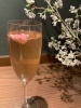 期間限定のお楽しみ🌸✨「サクラベリースパークリング🥂🌸で乾杯✨桜を飾る飲食店でお花見ディナー♪[市川駅7分市川真間駅1分のカジュアルフレンチビストロ]」