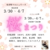 さくら祭り内容「カイロプラクティック体験されたい方はきすきさくら祭りへ」