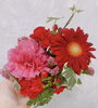 可愛い素敵なお花🩷「🌸12周年記念キャンペーン🌸」