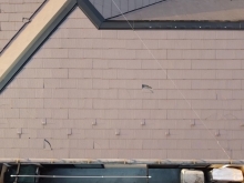 【ノンアスベスト屋根】レサスに塗装を行ったらどうなるか　～外壁塗装専門店のユウマペイント船橋店～