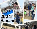 Teacher'sコーナー183号 Hanami 2024 【千葉のならいごと　英会話スクール】