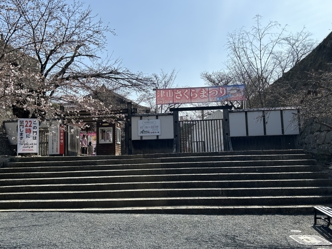 「津山桜まつり行きました！」