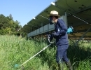 庭の雑草の草むしり 庭木の枝の切り取り 庭への除草剤の散布 草刈りとゴミの処分 物置の解体処分 庭木の高い所の剪定 物置の組立、設置 雨どいの掃除 芝刈り アパートの共用部分の草刈り 立木の伐採 木や花の植え付け 植木の根の除去