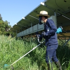 庭の雑草の草むしり 庭木の枝の切り取り 庭への除草剤の散布 草刈りとゴミの処分 物置の解体処分 庭木の高い所の剪定 物置の組立、設置 雨どいの掃除 芝刈り アパートの共用部分の草刈り 立木の伐採 木や花の植え付け 植木の根の除去