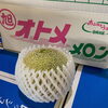 「少しずつですが… メロンの入荷も始まっています🍈 茨城県産「オトメメロン(青肉)」が入荷しました～♪♪」