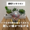縁起り、新しい縁「【いつもの行動を変えてみたら新しい縁がつながる!】気功師が行うメタトロン測定 鳥取・米子・大山・境港・松江・出雲 鳥取氣功院」