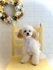 つなくん「ファースト・トリミング🐶」