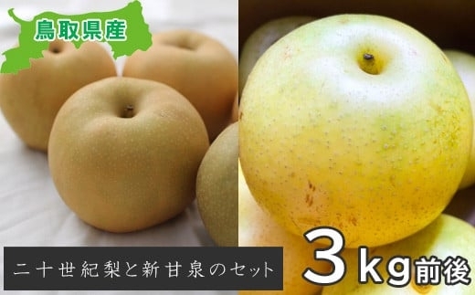 画像はイメージです。「梨の人気品種 二十世紀梨と新甘梨セット【鳥取県日吉津村ふるさと納税】」