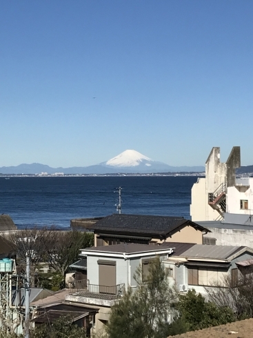 屋上からの富士「富士山　綺麗です！」
