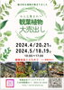 売り出し「観葉植物大売り出しのお知らせ📢」