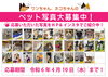 応募いただいたペット写真ＨＰ、インスタでもご紹介中「ペット写真大募集中！応募いただいた写真ご紹介中です！」