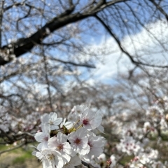 春は不調がでやすい季節