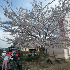 新年度スタートしました